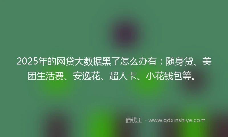 2025年的网贷大数据黑了怎么办有：随身贷、美团生活费、安逸花、超人卡、小花钱包等。