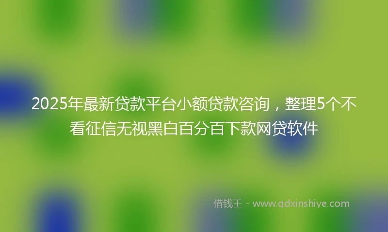 2025年最新贷款平台小额贷款咨询，整理5个不看征信无视黑白百分百下款网贷软件
