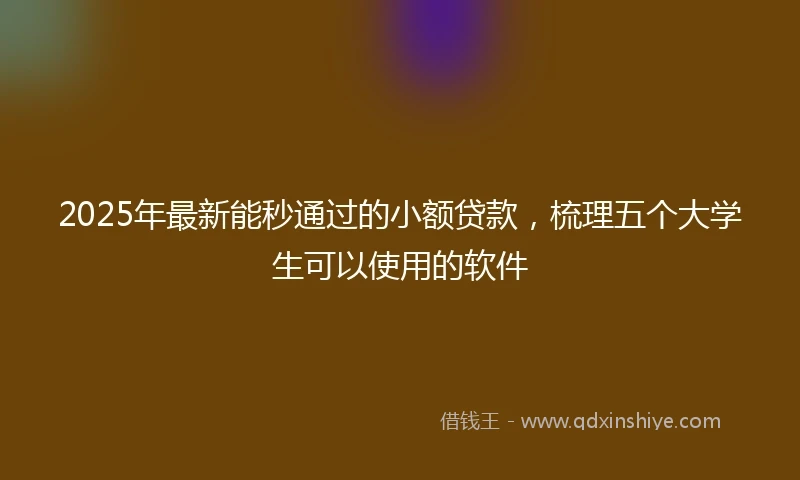 2025年最新能秒通过的小额贷款，梳理五个大学生可以使用的软件