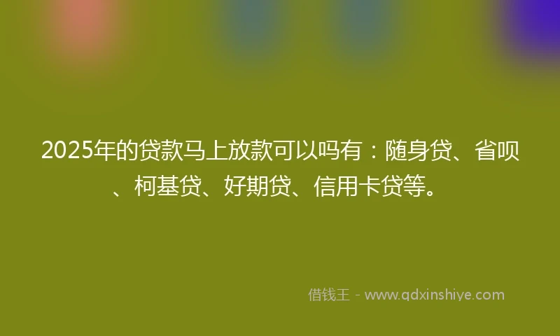 2025年的贷款马上放款可以吗有：随身贷、省呗、柯基贷、好期贷、信用卡贷等。