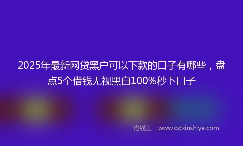 2025年最新网贷黑户可以下款的口子有哪些，盘点5个借钱无视黑白100%秒下口子