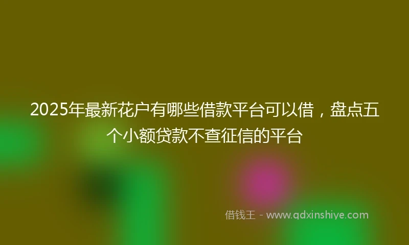 2025年最新花户有哪些借款平台可以借，盘点五个小额贷款不查征信的平台