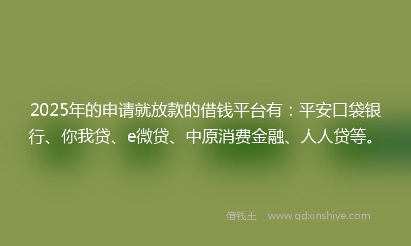 2025年的申请就放款的借钱平台有：平安口袋银行、你我贷、e微贷、中原消费金融、人人贷等。