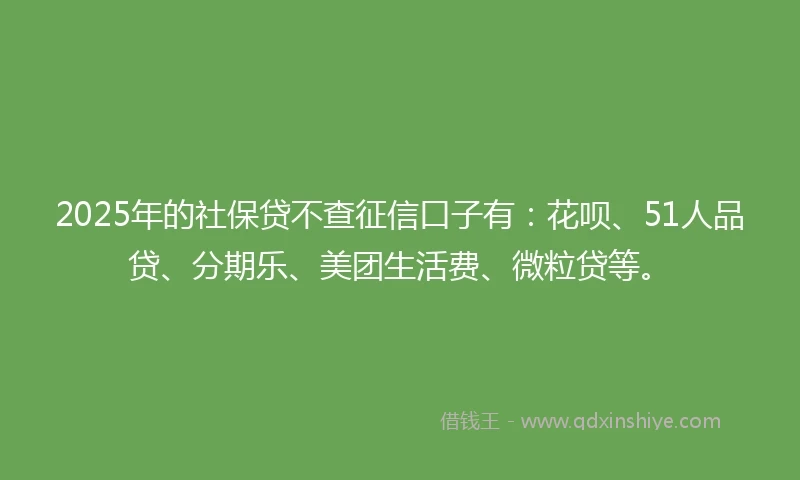 2025年的社保贷不查征信口子有：花呗、51人品贷、分期乐、美团生活费、微粒贷等。