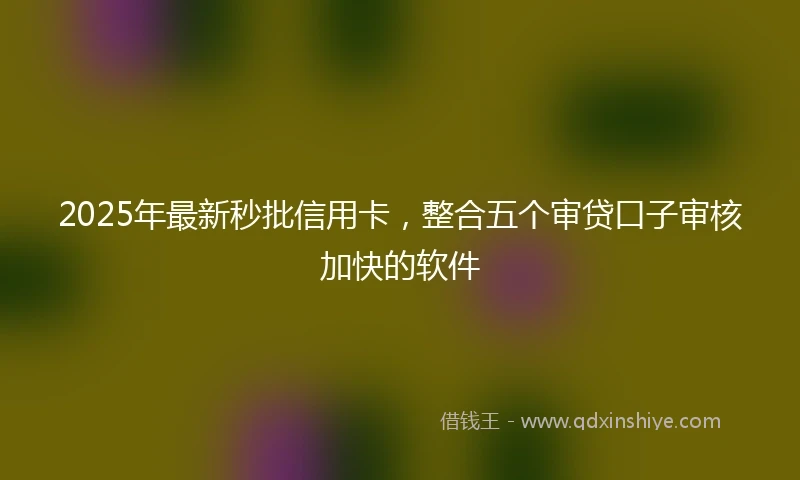 2025年最新秒批信用卡，整合五个审贷口子审核加快的软件