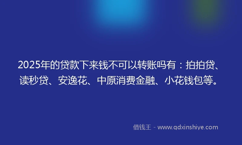 2025年的贷款下来钱不可以转账吗有：拍拍贷、读秒贷、安逸花、中原消费金融、小花钱包等。
