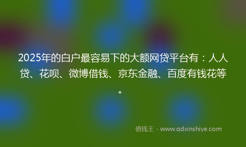2025年的白户最容易下的大额网贷平台有：人人贷、花呗、微博借钱、京东金融、百度有钱花等。