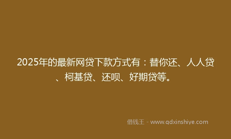 2025年的最新网贷下款方式有：替你还、人人贷、柯基贷、还呗、好期贷等。