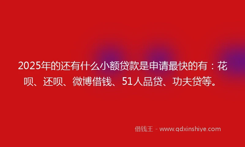 2025年的还有什么小额贷款是申请最快的有：花呗、还呗、微博借钱、51人品贷、功夫贷等。