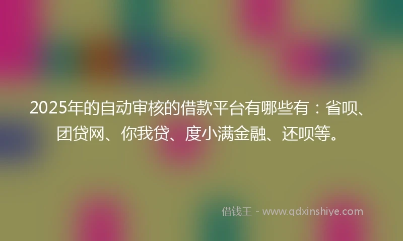 2025年的自动审核的借款平台有哪些有：省呗、团贷网、你我贷、度小满金融、还呗等。