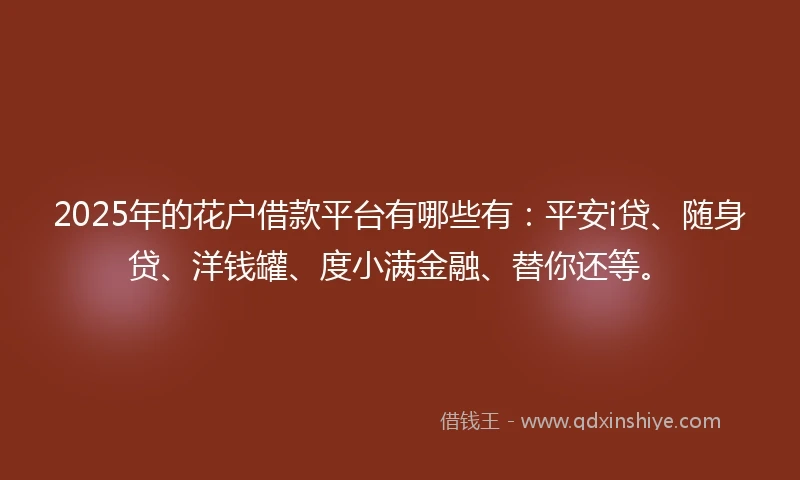 2025年的花户借款平台有哪些有：平安i贷、随身贷、洋钱罐、度小满金融、替你还等。