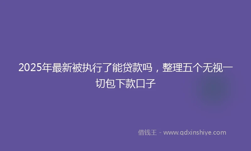 2025年最新被执行了能贷款吗,整理五个无视一切包下款口子