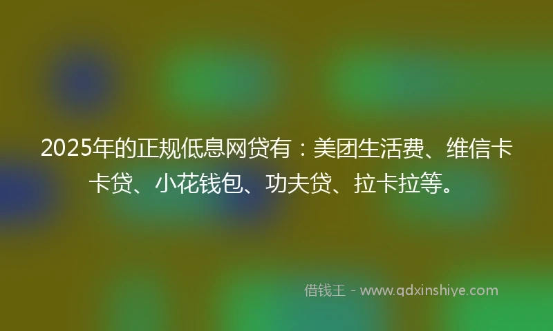 2025年的正规低息网贷有：美团生活费、维信卡卡贷、小花钱包、功夫贷、拉卡拉等。