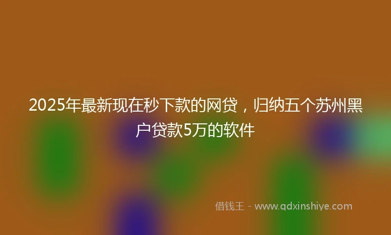 2025年最新现在秒下款的网贷，归纳五个苏州黑户贷款5万的软件