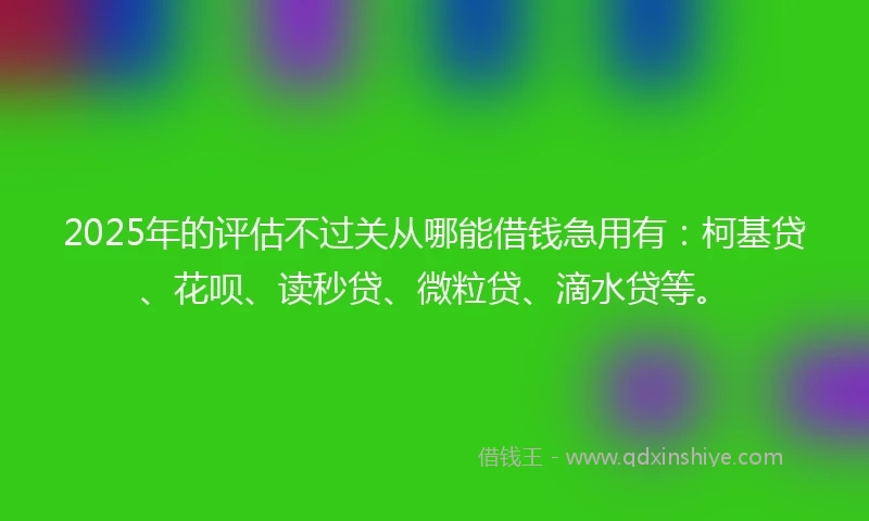 2025年的评估不过关从哪能借钱急用有：柯基贷、花呗、读秒贷、微粒贷、滴水贷等。