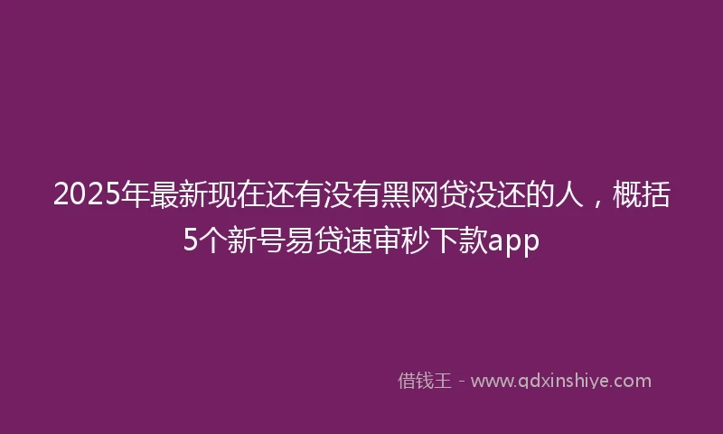 2025年最新现在还有没有黑网贷没还的人，概括5个新号易贷速审秒下款app