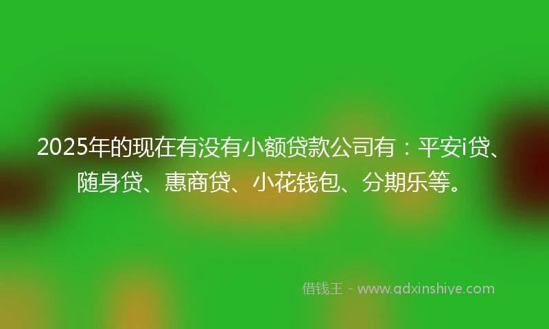 2025年的现在有没有小额贷款公司有：平安i贷、随身贷、惠商贷、小花钱包、分期乐等。