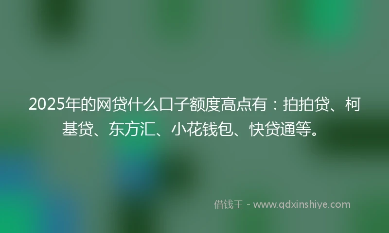 2025年的网贷什么口子额度高点有：拍拍贷、柯基贷、东方汇、小花钱包、快贷通等。