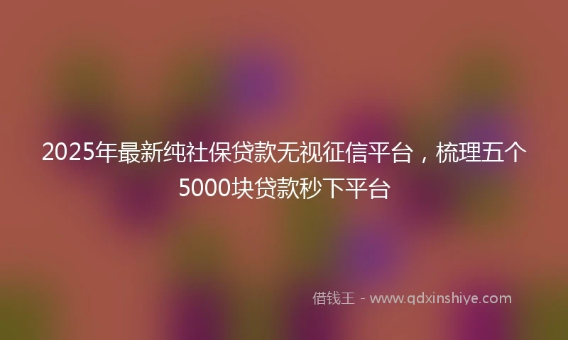 2025年最新纯社保贷款无视征信平台，梳理五个5000块贷款秒下平台
