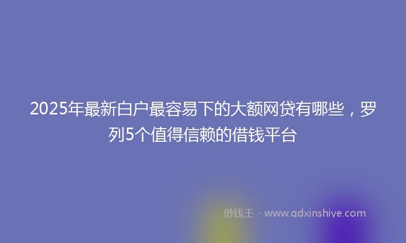 2025年最新白户最容易下的大额网贷有哪些，罗列5个值得信赖的借钱平台