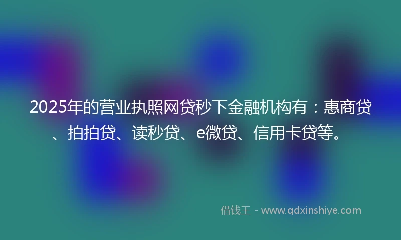 2025年的营业执照网贷秒下金融机构有：惠商贷、拍拍贷、读秒贷、e微贷、信用卡贷等。