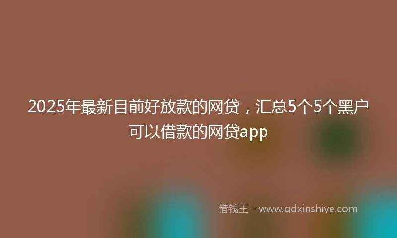 2025年最新目前好放款的网贷，汇总5个5个黑户可以借款的网贷app