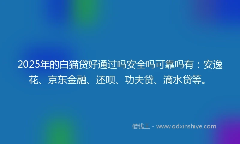 2025年的白猫贷好通过吗安全吗可靠吗有：安逸花、京东金融、还呗、功夫贷、滴水贷等。