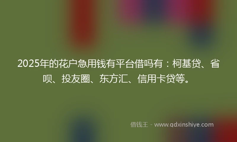 2025年的花户急用钱有平台借吗有：柯基贷、省呗、投友圈、东方汇、信用卡贷等。