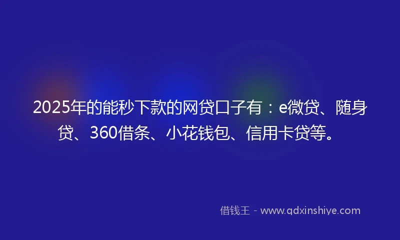 2025年的能秒下款的网贷口子有：e微贷、随身贷、360借条、小花钱包、信用卡贷等。