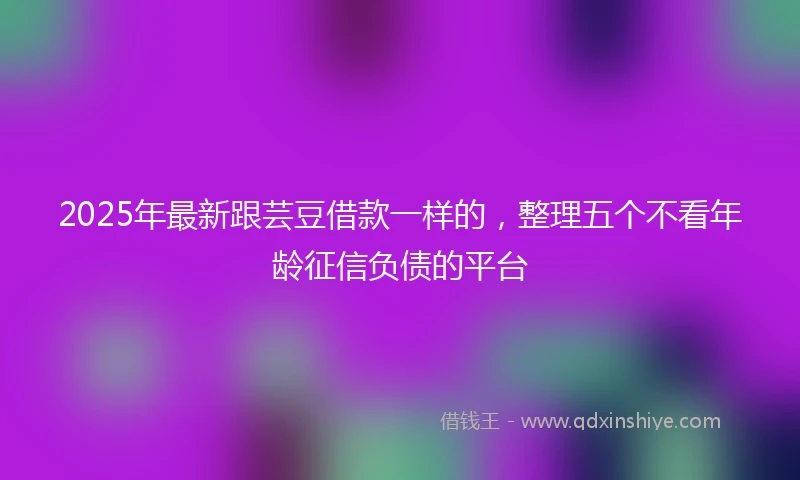 2025年最新跟芸豆借款一样的，整理五个不看年龄征信负债的平台