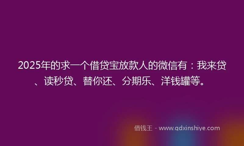 2025年的求一个借贷宝放款人的微信有：我来贷、读秒贷、替你还、分期乐、洋钱罐等。