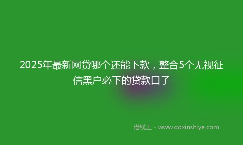 2025年最新网贷哪个还能下款，整合5个无视征信黑户必下的贷款口子