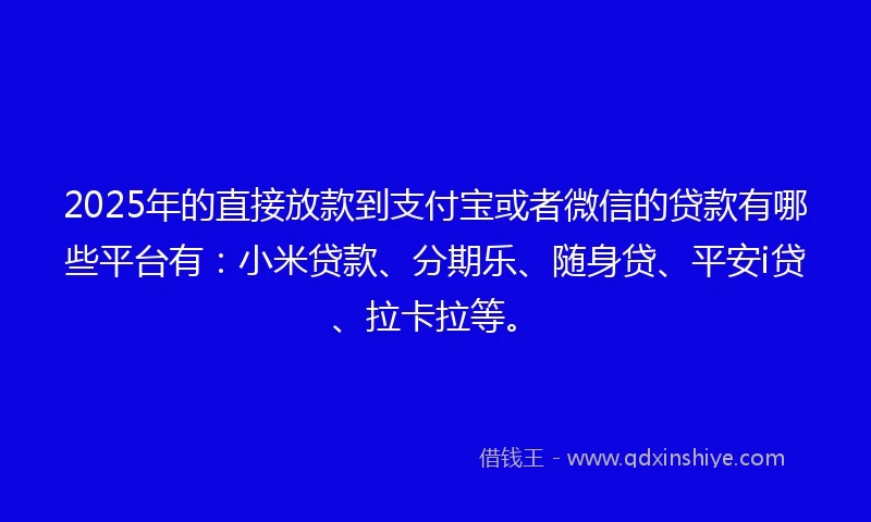 2025年的直接放款到支付宝或者微信的贷款有哪些平台有：小米贷款、分期乐、随身贷、平安i贷、拉卡拉等。