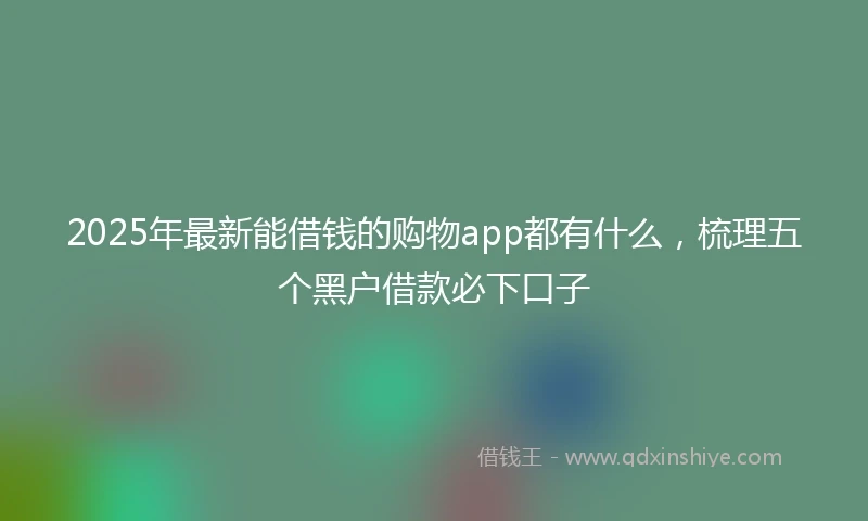 2025年最新能借钱的购物app都有什么，梳理五个黑户借款必下口子