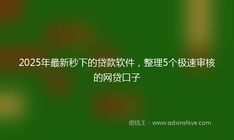 2025年最新秒下的贷款软件，整理5个极速审核的网贷口子