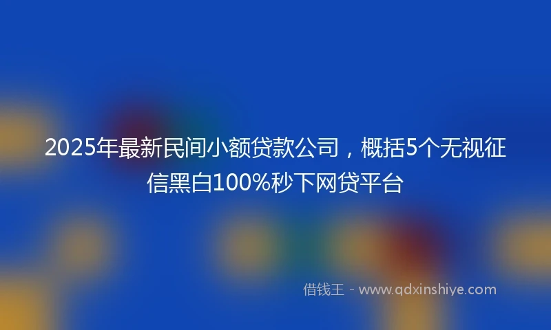 2025年最新民间小额贷款公司，概括5个无视征信黑白100%秒下网贷平台