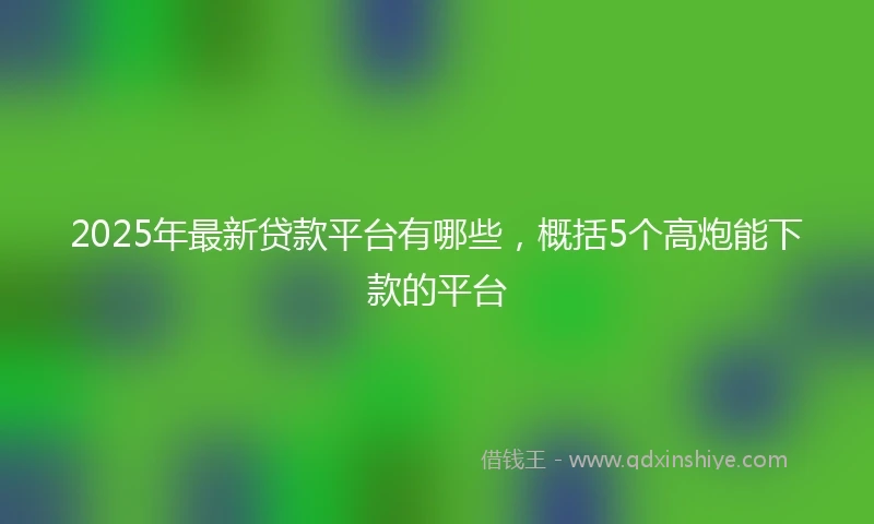 2025年最新贷款平台有哪些，概括5个高炮能下款的平台