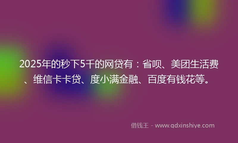 2025年的秒下5千的网贷有：省呗、美团生活费、维信卡卡贷、度小满金融、百度有钱花等。