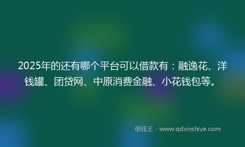 2025年的还有哪个平台可以借款有：融逸花、洋钱罐、团贷网、中原消费金融、小花钱包等。