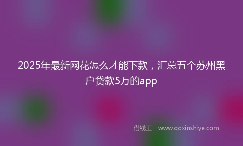 2025年最新网花怎么才能下款，汇总五个苏州黑户贷款5万的app
