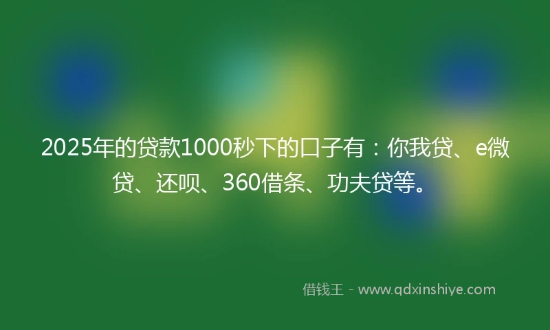 2025年的贷款1000秒下的口子有：你我贷、e微贷、还呗、360借条、功夫贷等。