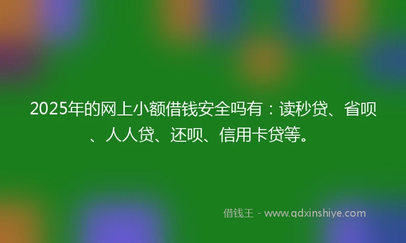 2025年的网上小额借钱安全吗有：读秒贷、省呗、人人贷、还呗、信用卡贷等。