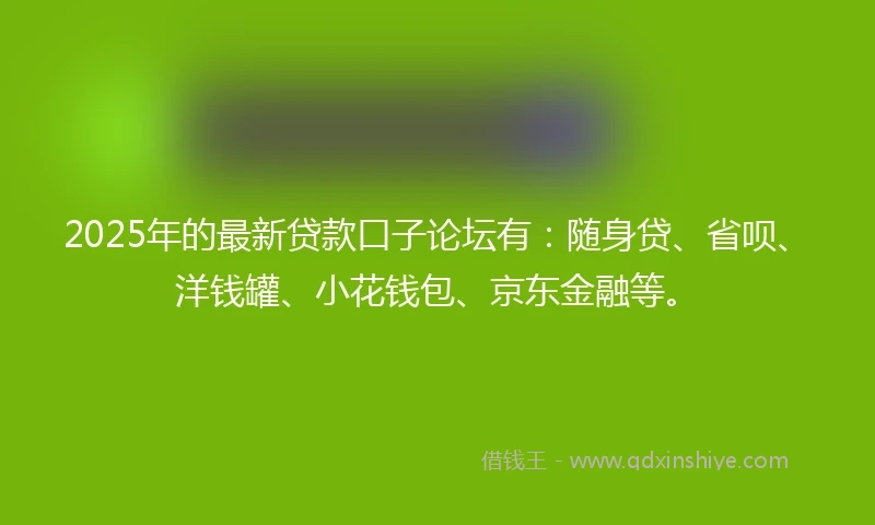 2025年的最新贷款口子论坛有：随身贷、省呗、洋钱罐、小花钱包、京东金融等。