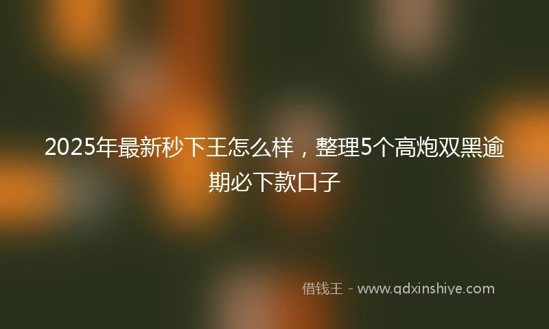 2025年最新秒下王怎么样，整理5个高炮双黑逾期必下款口子