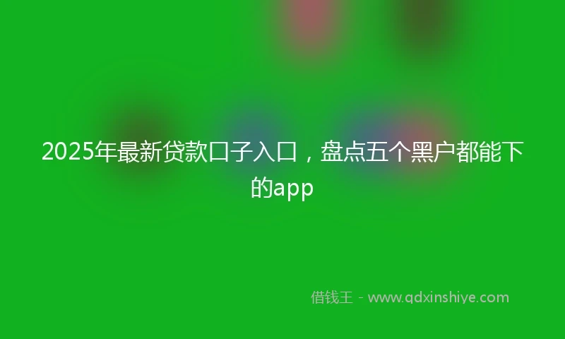 2025年最新贷款口子入口,盘点五个黑户都能下的app