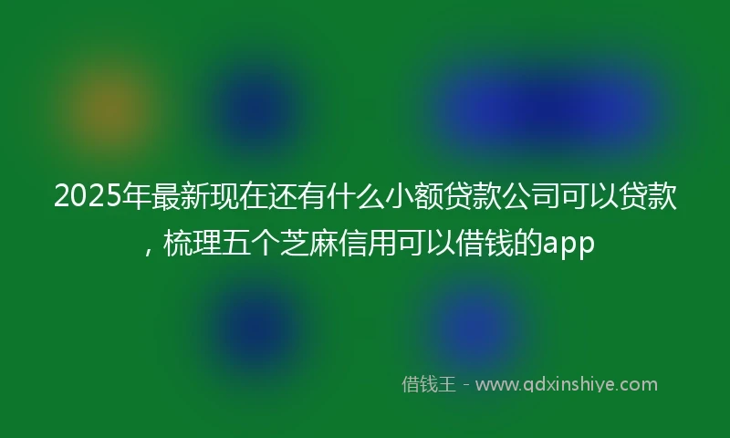 2025年最新现在还有什么小额贷款公司可以贷款，梳理五个芝麻信用可以借钱的app