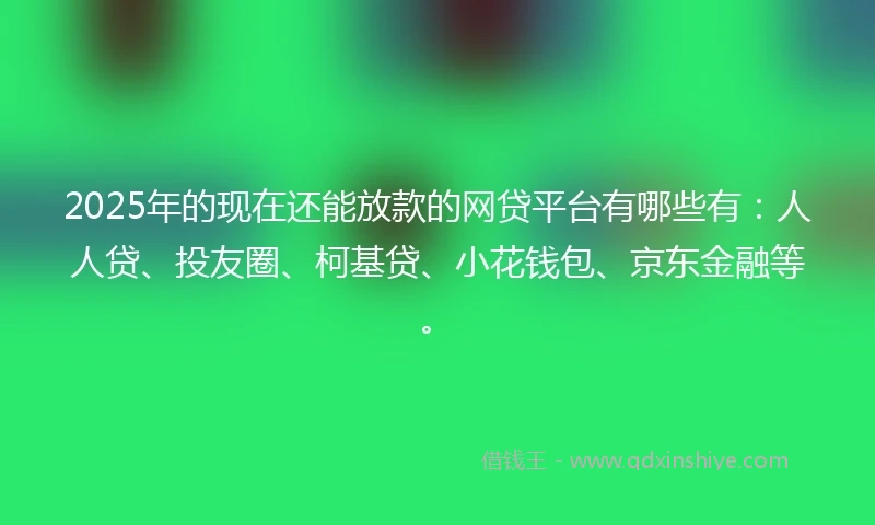 2025年的现在还能放款的网贷平台有哪些有：人人贷、投友圈、柯基贷、小花钱包、京东金融等。