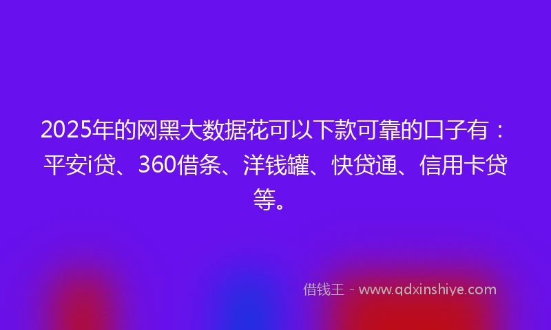 2025年的网黑大数据花可以下款可靠的口子有：平安i贷、360借条、洋钱罐、快贷通、信用卡贷等。