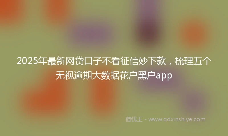 2025年最新网贷口子不看征信妙下款，梳理五个无视逾期大数据花户黑户app