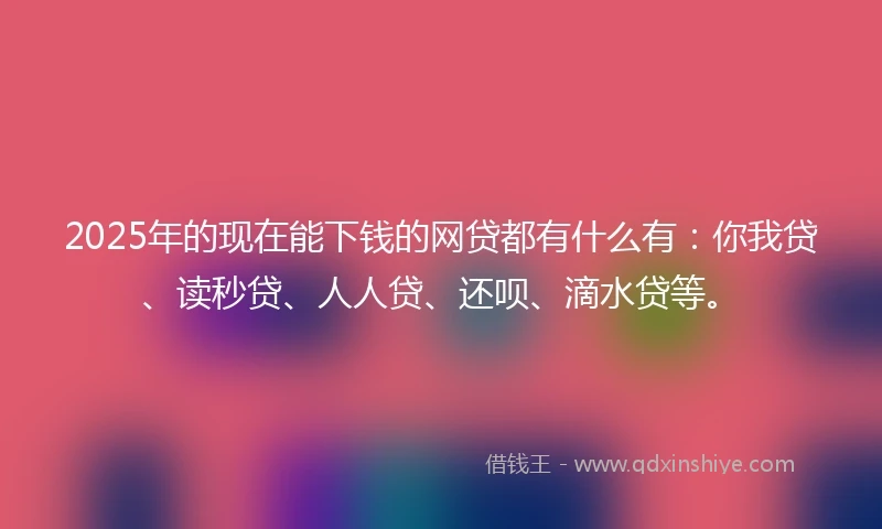 2025年的现在能下钱的网贷都有什么有：你我贷、读秒贷、人人贷、还呗、滴水贷等。
